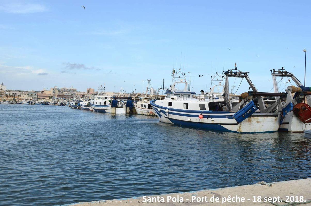 11 SANTA POLA PORT DE PECHE (88).JPG